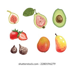 Avocado Mango Strawberry Fig Salak tropical fruit hand drawn water color cross section for postcard packaging design