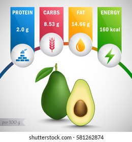 Avocado nutrients vector. Protein, carbs, fat, energy