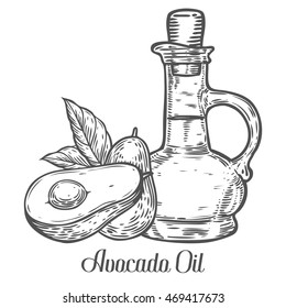 Avocado oil bottle, fruit, leaf, plant. Hand drawn engraved vector sketch etch illustration. 