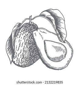 Avocado auf weißem Hintergrund, halbe Avocado-Früchte, Blätter, Scheiben.