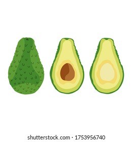 avocado on a white background, isolated and done in vector