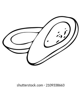 Avocado on white background. Natural organic nutrition. Healthy organic vegan food. Vector drawing.