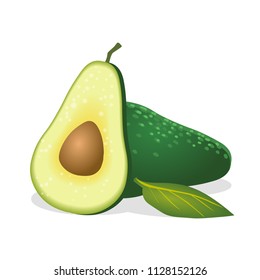 Avocado on white background. Vector illustration