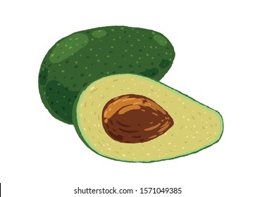 Avocado on white background. Vector illustration.