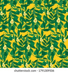 avocado on yellow pattern background