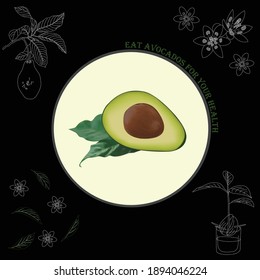 avocado organic food illustration vegetarian