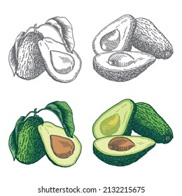 El aguacate es una fruta orgánica. Ilustración vectorial para cualquier diseño.
