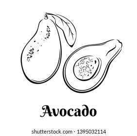 Avocado outline. Black and white icon of whole vegetable and slice. Vector monochrome illustration.