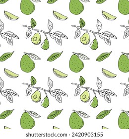 Avocado outline and color seamless pattern. Whole avocado, sliced pieces, half, leaf and seed, avocado on branch - sketch. Hand drawn vector illustration can used for wrapping, textile, poster. 