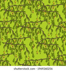 Avocado pattern, vector illustration. Seamless pattern of tropical, exotic fruits and leaves. A green, ripe, half, plant for breakfast, diet, nutrition. Branch. Repeating ornament for kitchen textiles