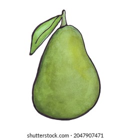 Avocado, pear watercolor. Green berry, fruit. Vector illustration.
