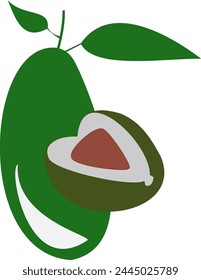 The avocado (Persea americana) is a medium-sized, evergreen tree in the laurel family (Lauraceae)