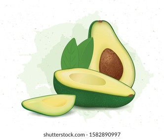 avocado pieces and green leaves vector illustration