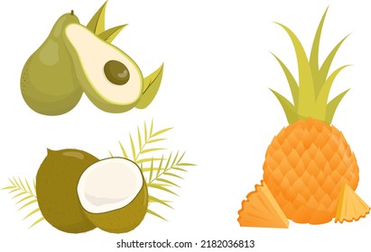 avocado, pineapple, coconut, fruit on white background