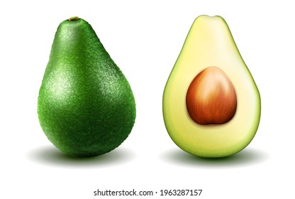 Avocado. Realistic avocado, half and whole healthy avocado in 3D illustration isolated on white background