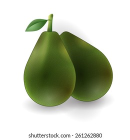 Avocado realistic vector set on white background