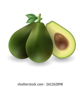 Avocado realistic vector set on white background