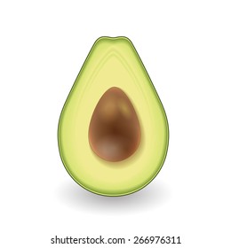 Avocado realistic vector set on white background