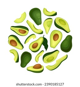 Avocado Round Composition Design with Green Fruit and Kernel Vector Template