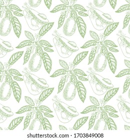 Avocado seamless pattern. Botanical illustrations in the engraving style. Collection of hand-drawn flowers and plants. Tropical plant.