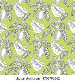 Avocado seamless pattern. Botanical illustrations in the engraving style. Collection of hand-drawn flowers and plants. Tropical plant.