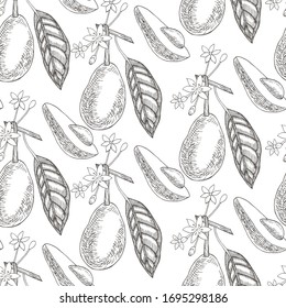 Avocado seamless pattern on a white background. Botanical illustrations in the engraving style. Collection of hand-drawn flowers and plants. Tropical fruits engraved style illustration.