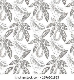 Avocado seamless pattern on a white background. Botanical illustrations in the engraving style. Collection of hand-drawn flowers and plants. Tropical plant.