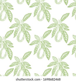 Avocado seamless pattern on a white background.  Botanical illustrations in the engraving style. Tropical fruits engraved style illustration.