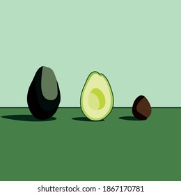 dibujo de aguacates y vectores de semillas