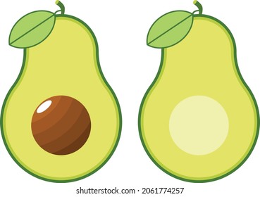 Avocado With Seed Vector Illustration Isolated On White Background. 