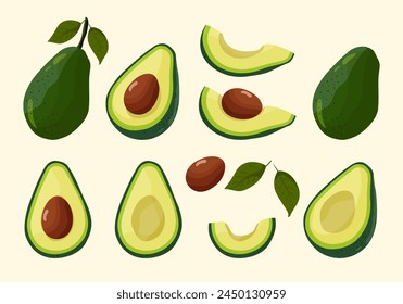 Avocado set. Bright green whole fruit , half, slice, with bone. Products for healthy diet. Vector flat illustration on isolated light background.