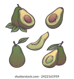 Avocado set. Collection of tropical fruit design elements in flat line style. Vector illustration.