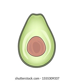 avocado. to a set of fruit images. vector illustration