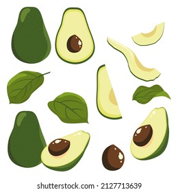 Aguacate, conjunto de medias aguacate, corte, rodaja, semilla y hoja aisladas en fondo blanco, aguacate ilustración vectorial.