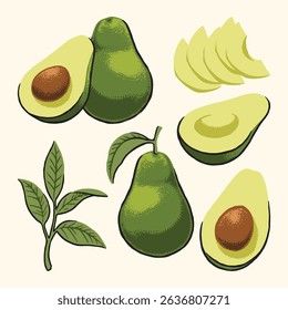 Avocado Set Hand Drawn illustrations