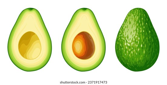 Avocado. Avocado set isolated on white background. Whole green avocado, cut in half, half with pit.