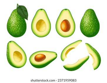 Avocado. Avocado set isolated on white background. Whole green avocado with leaf, cut into pieces.
