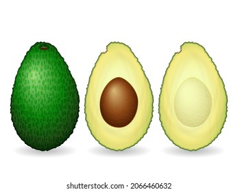 Aguacate sobre un fondo blanco. Ilustración vectorial.