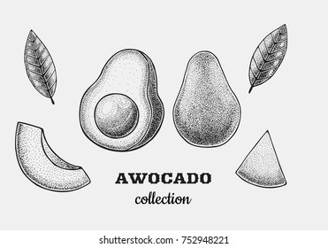 avocado set painted in dotwork style