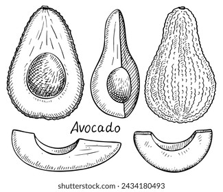 Avocado set sketch. Vegetable. Healthly food. Slices, cut, half. Hand drawn vector illustration.