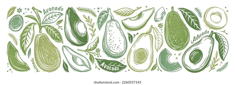 Avocado-Set. Stempeldruck. Ganzer Avocado, Halbheiten von Avocado und Blättern. Handgezeichnete botanische Illustration im Vintage-Stil. Grafische Früchte einzeln auf weißem Hintergrund. Druckelemente aus Holzblöcken. 