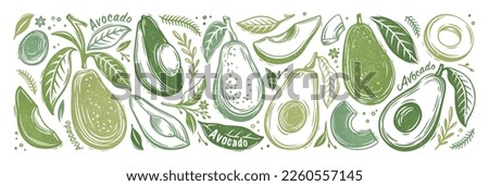 Avocado set. Stamp printing. Whole avocado, halves of avocado and leaves. Hand drawn botanical illustration in vintage style. Graphic fruits isolated on a white background. Wood block print elements. 