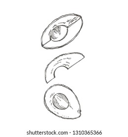 Avocado set. Vector hand drawn illustrations. Avocado, sliced pieces, half, leaf and seed sketch. Tropical summer fruit engraved style illustration.