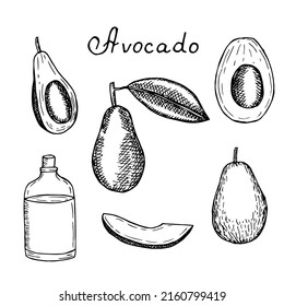 Dibujo vectorial conjunto de aguacates, dibujo a mano