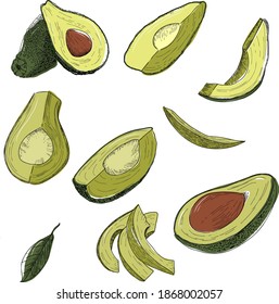Avocado set. Vector.Suitable for printing on packaging.cartoon. Hand draw. Fruit poster. Avocado slices. Leaf. Doodle. 
