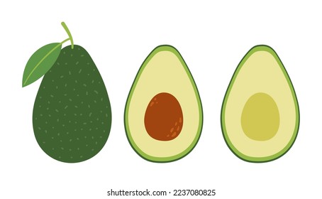 Juego de aguacates. Frutos aguacate enteros y mitades con núcleo y pozo. Ilustración vectorial plana de color dibujada a mano aislada en fondo blanco.