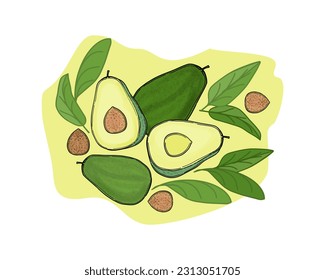 Avocado, set, whole fruits and cut, seeds, leaves, color drawing, on a light abstract background