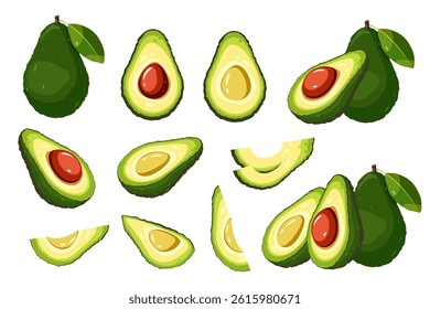 Avocado set. Whole avocado, half, slices. Vector illustration isolated on white background.