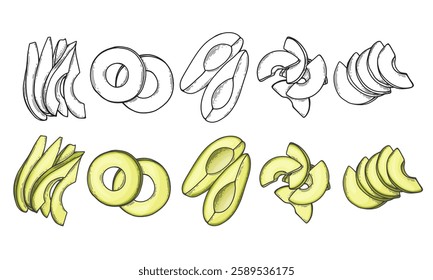 Avocado set with whole halved and sliced green tropical fruit. Vegan healthy nutritious food in flat detailed vector style for packaging, designs, decorative elements