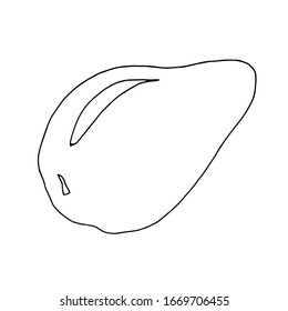 Avocado. A simple line drawing of a hand. Vector illustration.